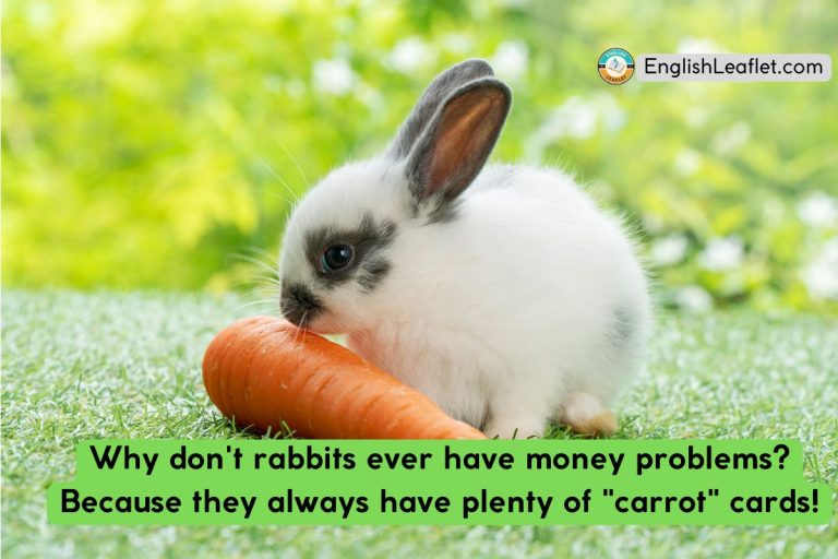 96 Rabbit Puns | Hare today, gone tomorrow! - EnglishLeaflet