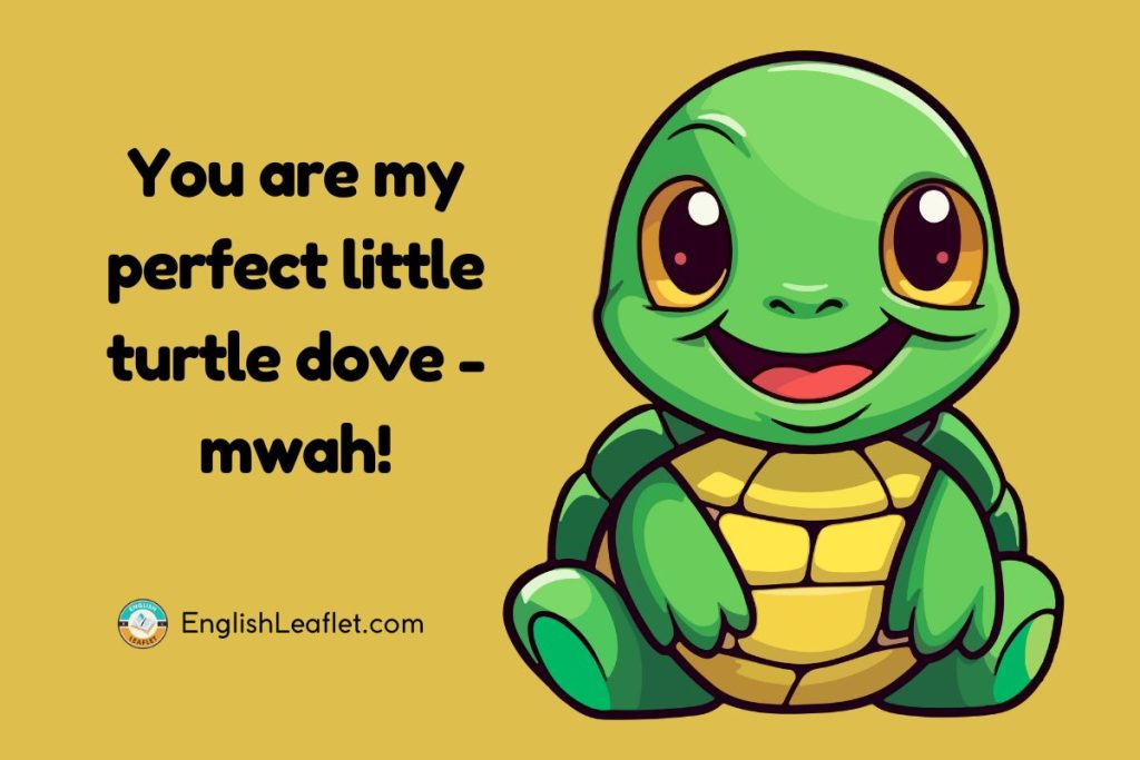 Turtle Love Puns
