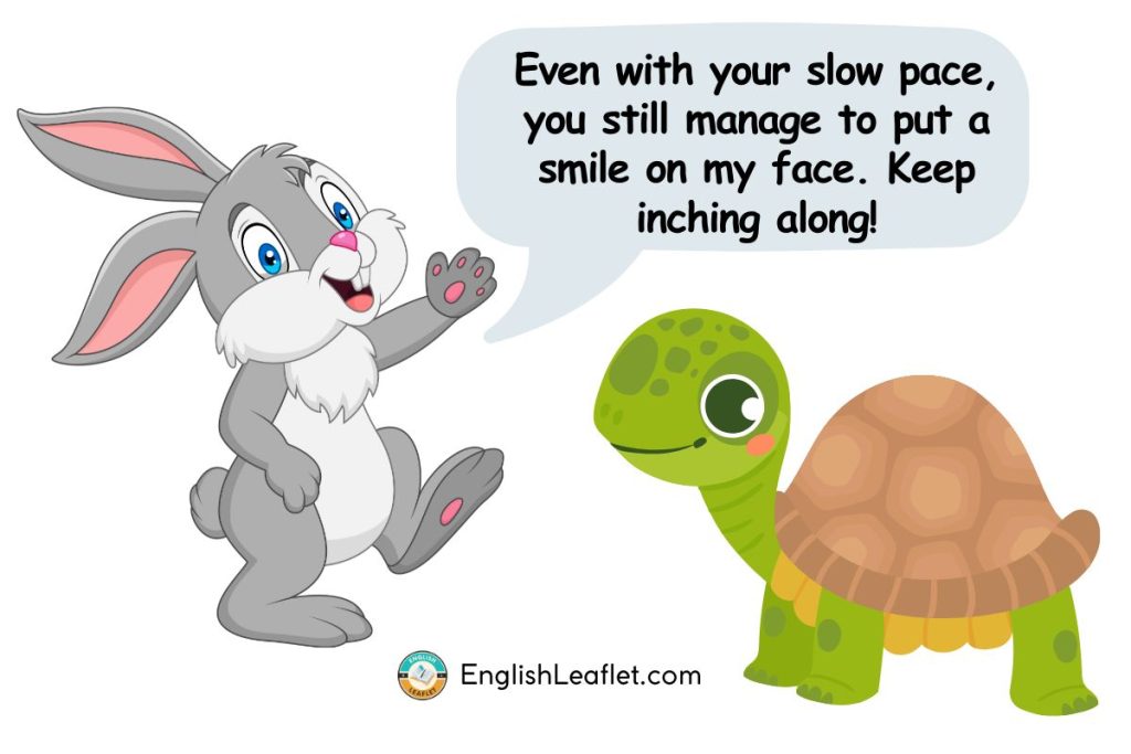 Turtle Slow Motion Puns | funny turtle puns