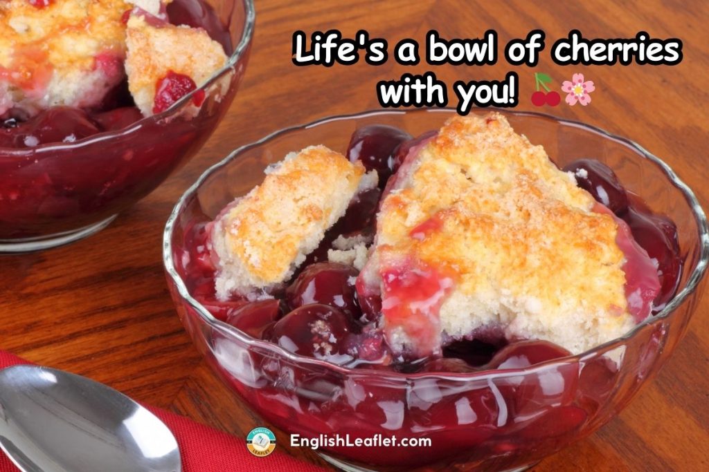 Cherry Puns for Instagram