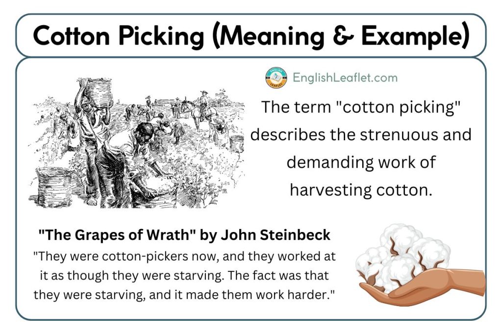 Cotton Picking (Meaning & Examples in Literature)