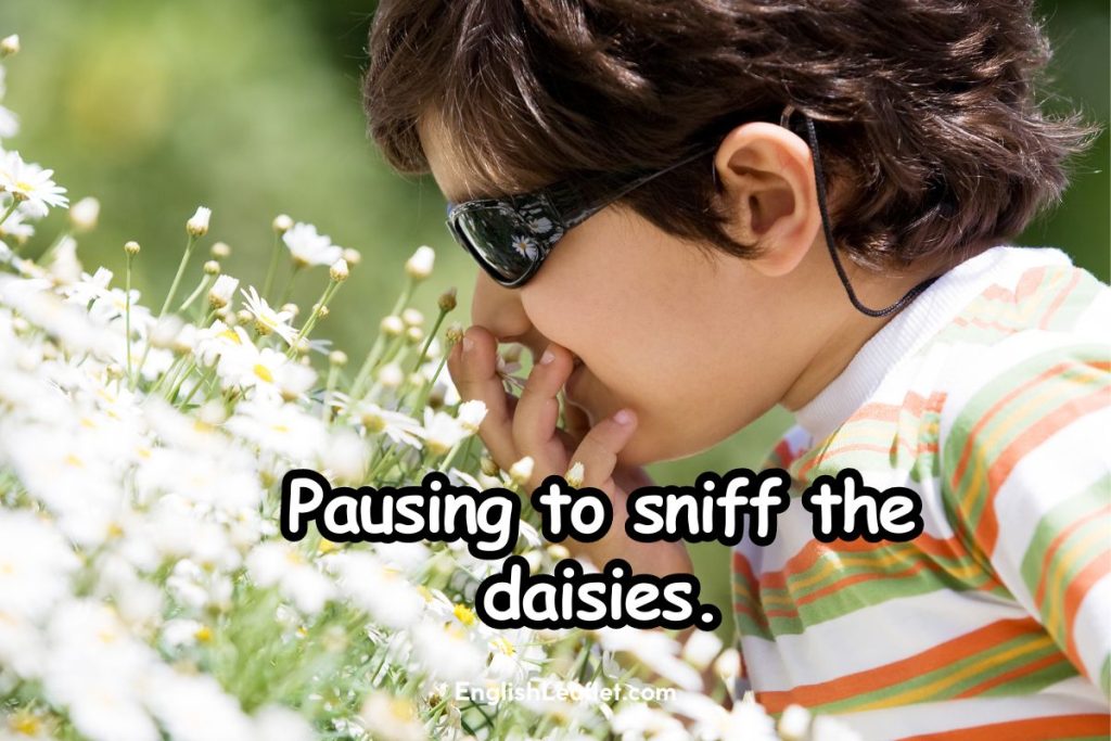 Floral Puns Captions