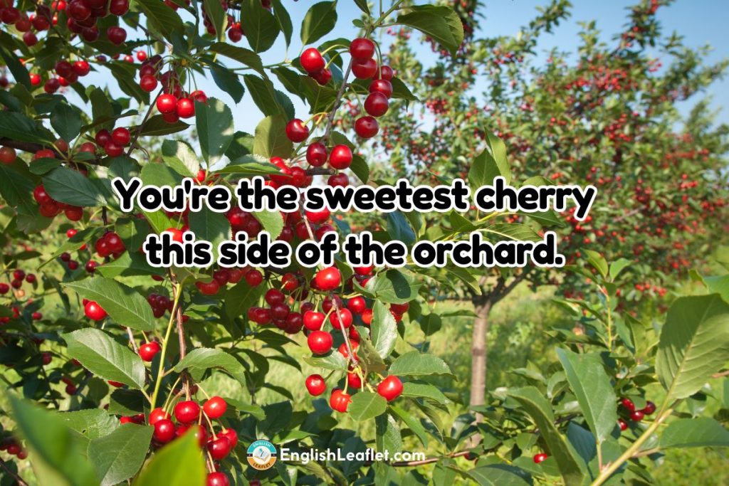 Funny Cherry Puns
