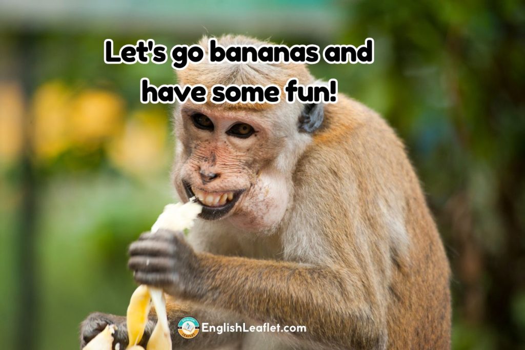 Monkey Behavior Puns