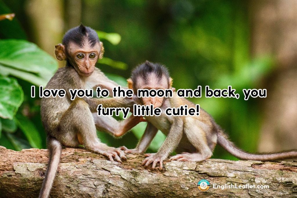 Monkey Name Puns
