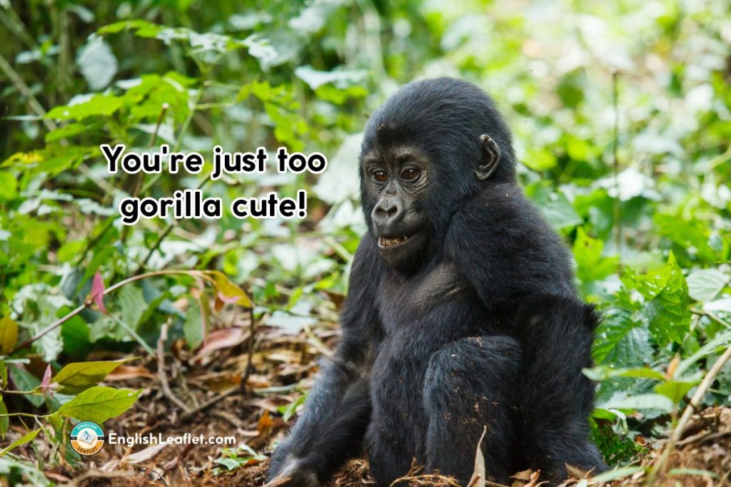 Monkey Puns One Liners