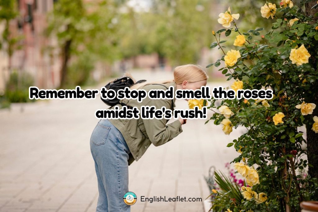 Nature and Growth Puns