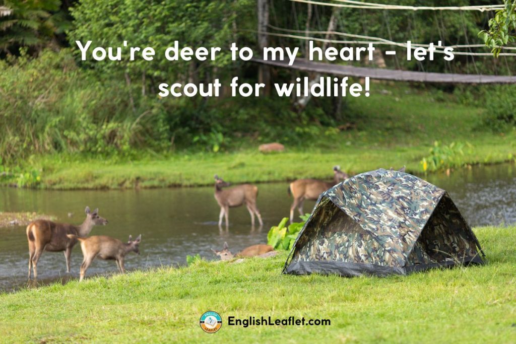 Nature and Wildlife Jokes