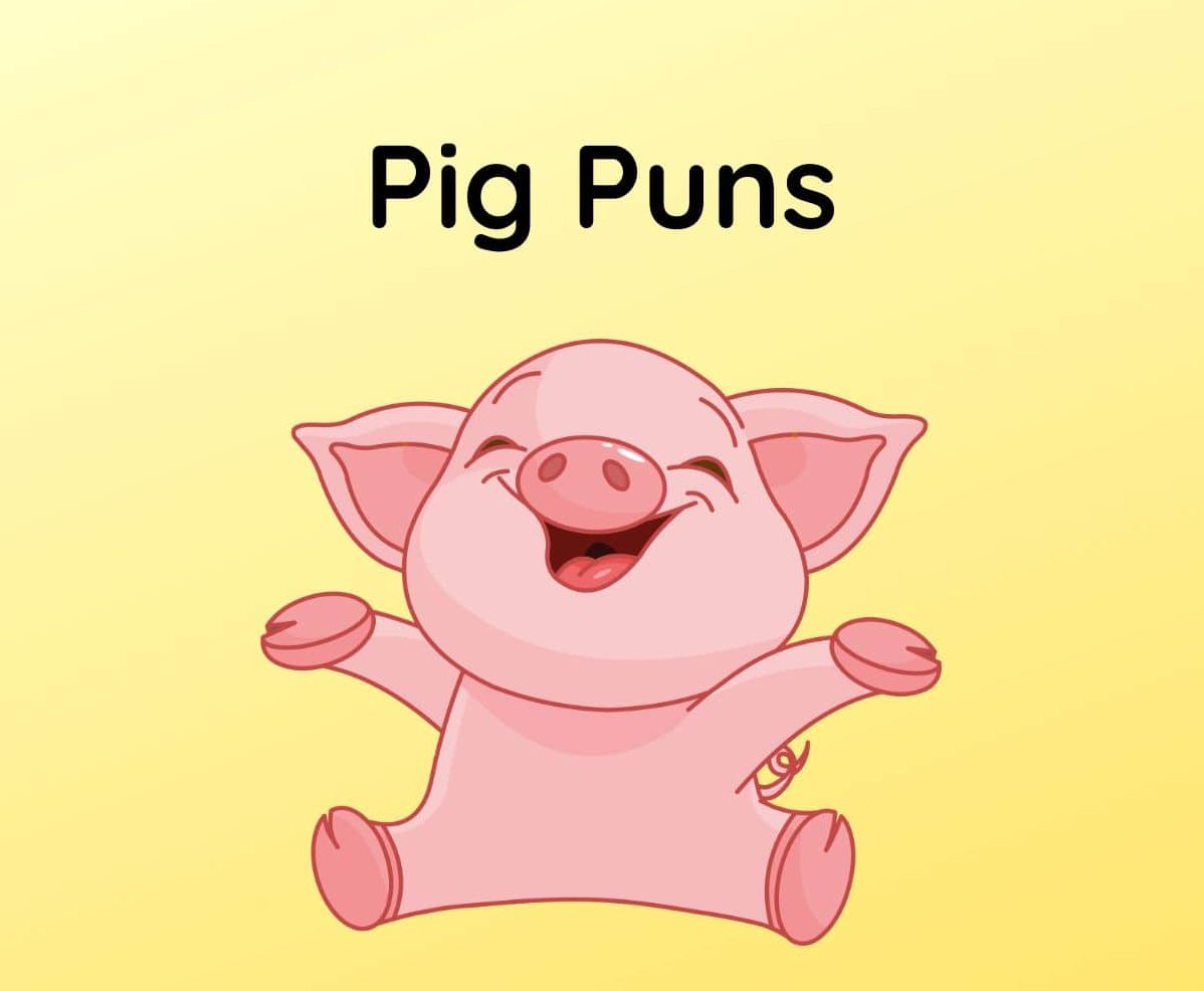 Top 10 Pig Puns That’ll Make You Hog the Jokes! - EnglishLeaflet