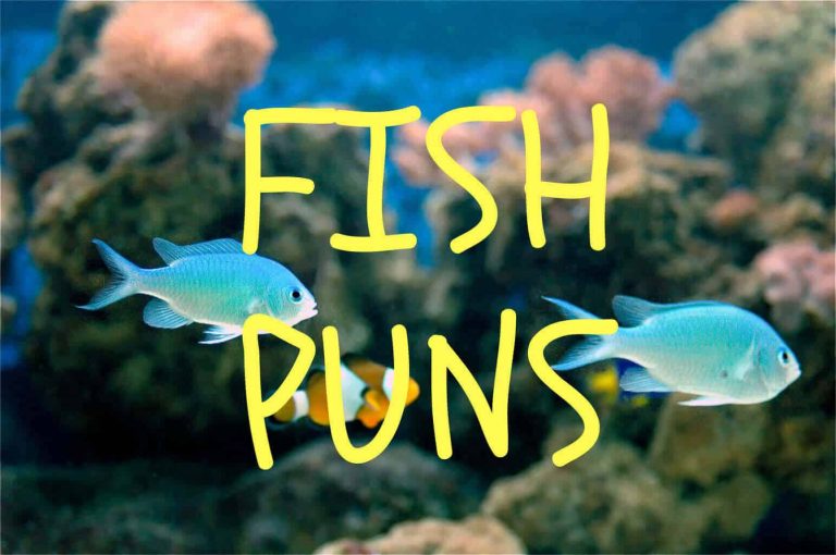 100+ Fishing Puns That Will Reel You In with Laughter!