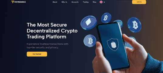 Vestronmix.com Review: Understanding Vestronmix Account Levels and Trading Markets