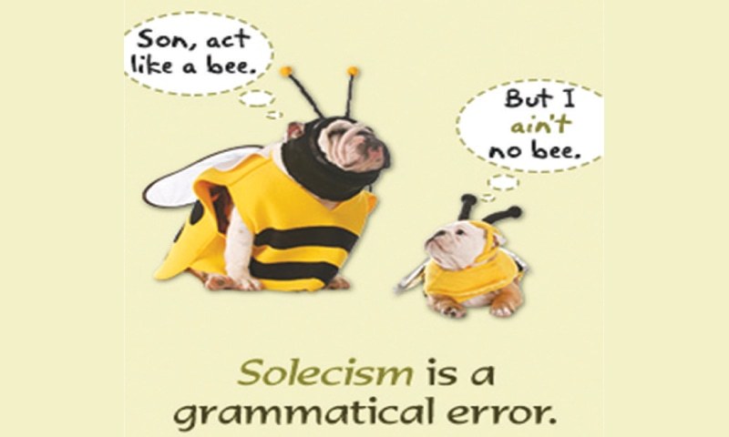 Solecism: Meaning, Examples & Common Grammar Mistakes