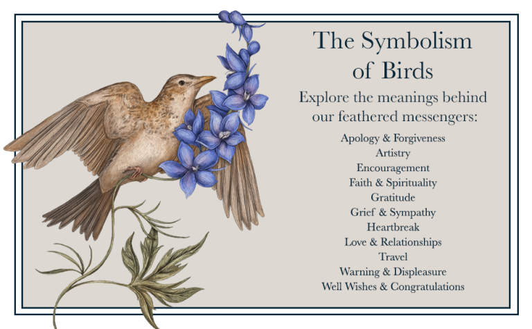 Bird Symbolism: Meanings of 20 Powerful Birds Explained