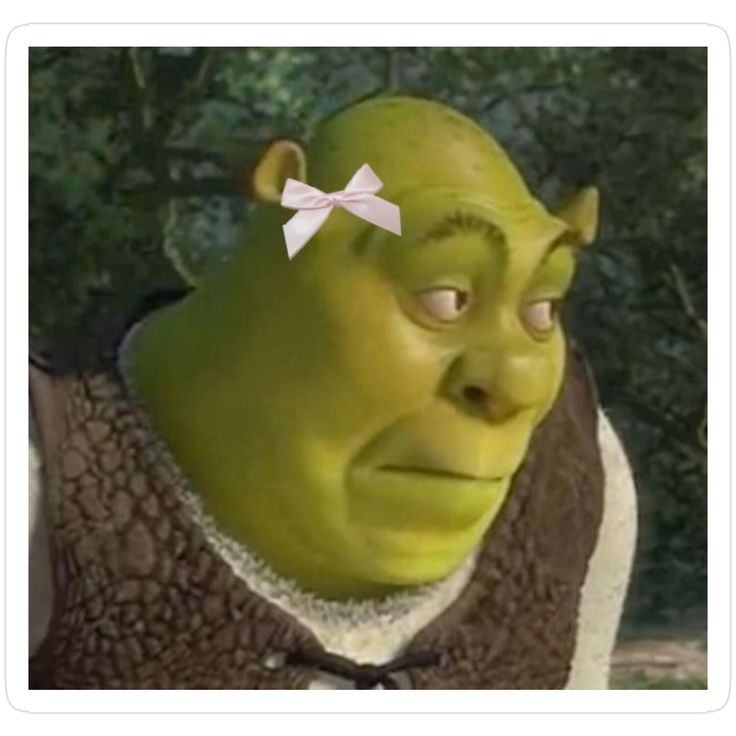 Shrek Rizz