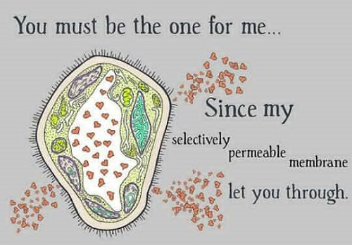 Biology Chat Up Lines