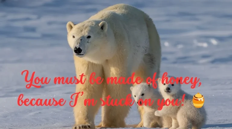 Polar Bear Pick Up Line: Mastering Witty Icebreakers for Unforgettable Flirty Moments Polar Bear Pick Up Line