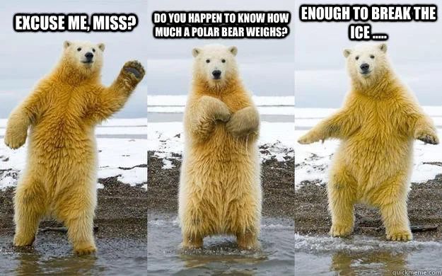 Polar Bear Pick Up Line