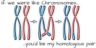 Biology Chat Up Lines