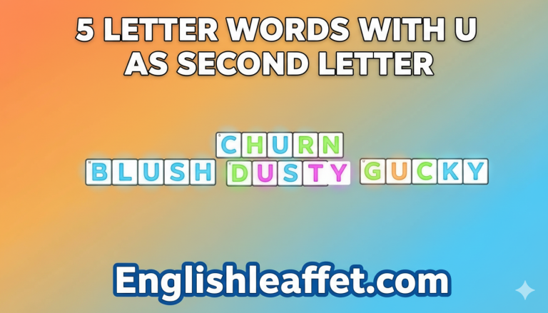 5 Letter Words With U as the Second Letter List 2026