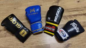 Top 10 Best High-Quality Boxing Gloves Brand for Training