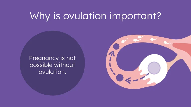 Why Am I Not Ovulating but Having Periods? Fertility 2026