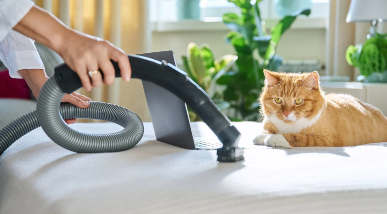 Pet Vacuum: The Ideal Cleaning Solution for Pet Owners