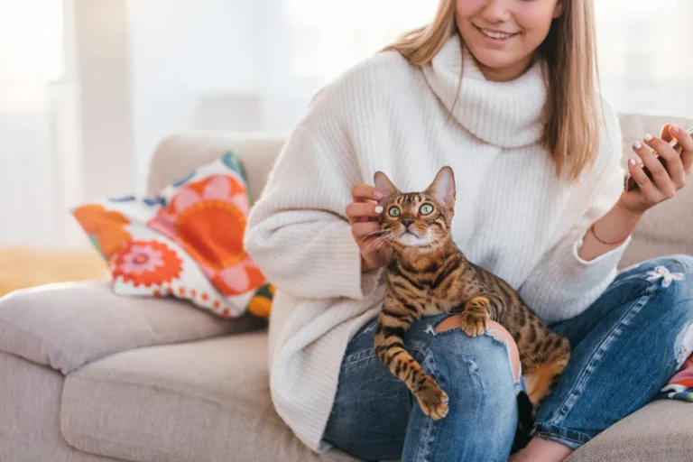 Why Do Cats Lay on You? Cat Behavior Decoded 2026