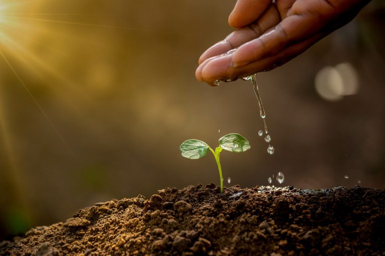 Why Are Natural Resources Important? Uses & Benefits Guide 2026