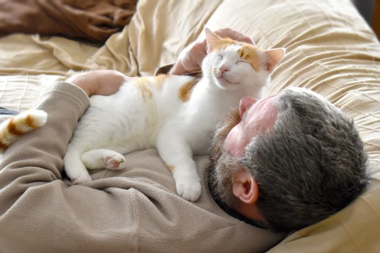 Why Do Cats Sleep on Your Chest? Meaning Explained 2026