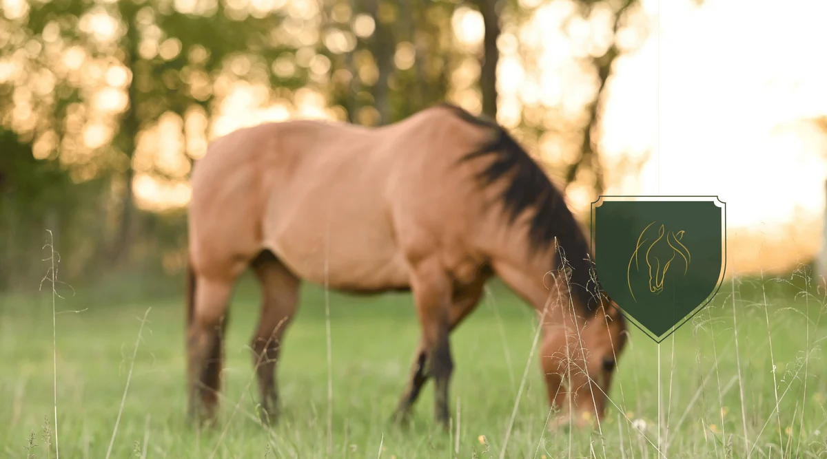 Why Can't Horses Throw Up? Here's Why 2026