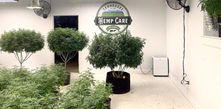 Why Are There Dispensaries in Tennessee? Hemp Laws Explained 2026