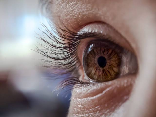 Why Do My Eyelids Itch? Common Causes Explained 2026