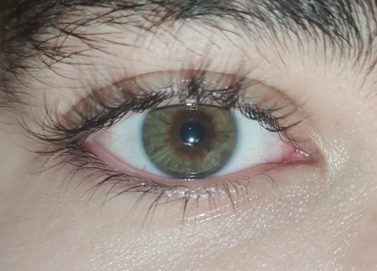 Why Do Men Have Longer Eyelashes? The Real Science Behind the Myth 2026