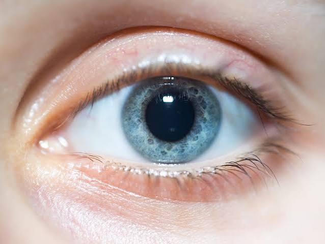 Why Do Your Pupils Dilate When You Look at Someone? Here's Why 2026