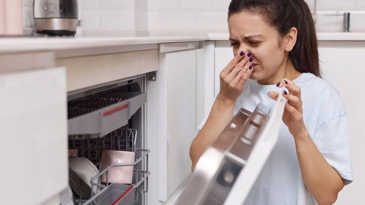 Why Does My Dishwasher Smell Like Rotten Eggs? Causes 2026