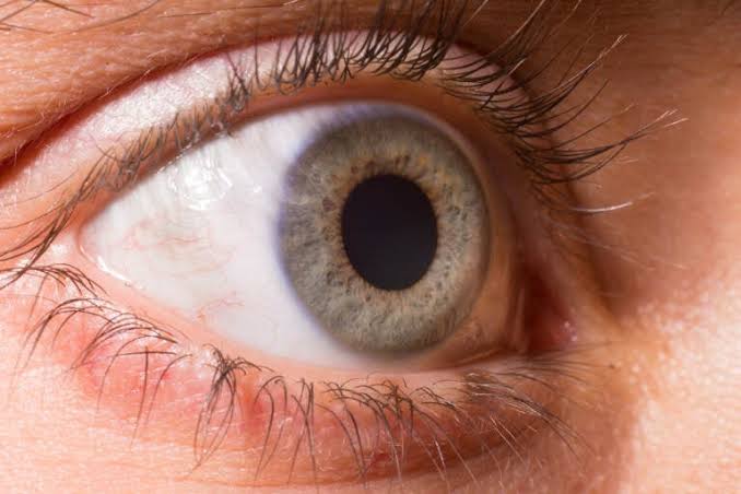 Why Do Your Pupils Dilate When You Look at Someone? Here's Why 2026